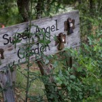 Sweet Angel Garden sign Sweet Angel Garden sign. Photo by Sabrina Amezcua