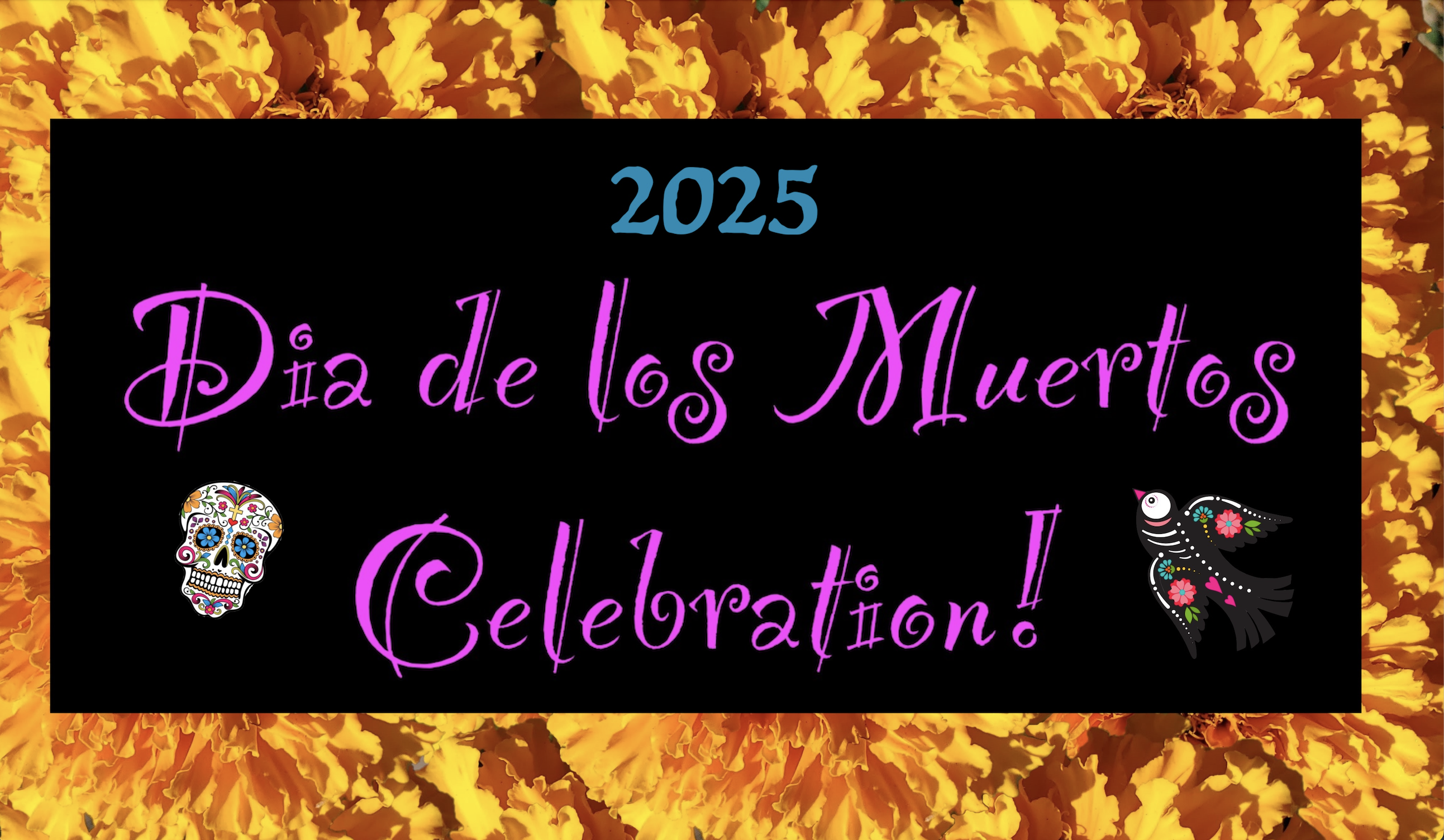 DDLM Header 2025 web DDLM Header 2025 web