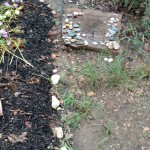 Stones Stones