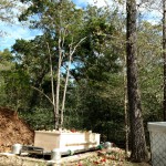 Casketed Natural Burial Casketed Natural Burial