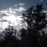 Texas Sky Texas Sky