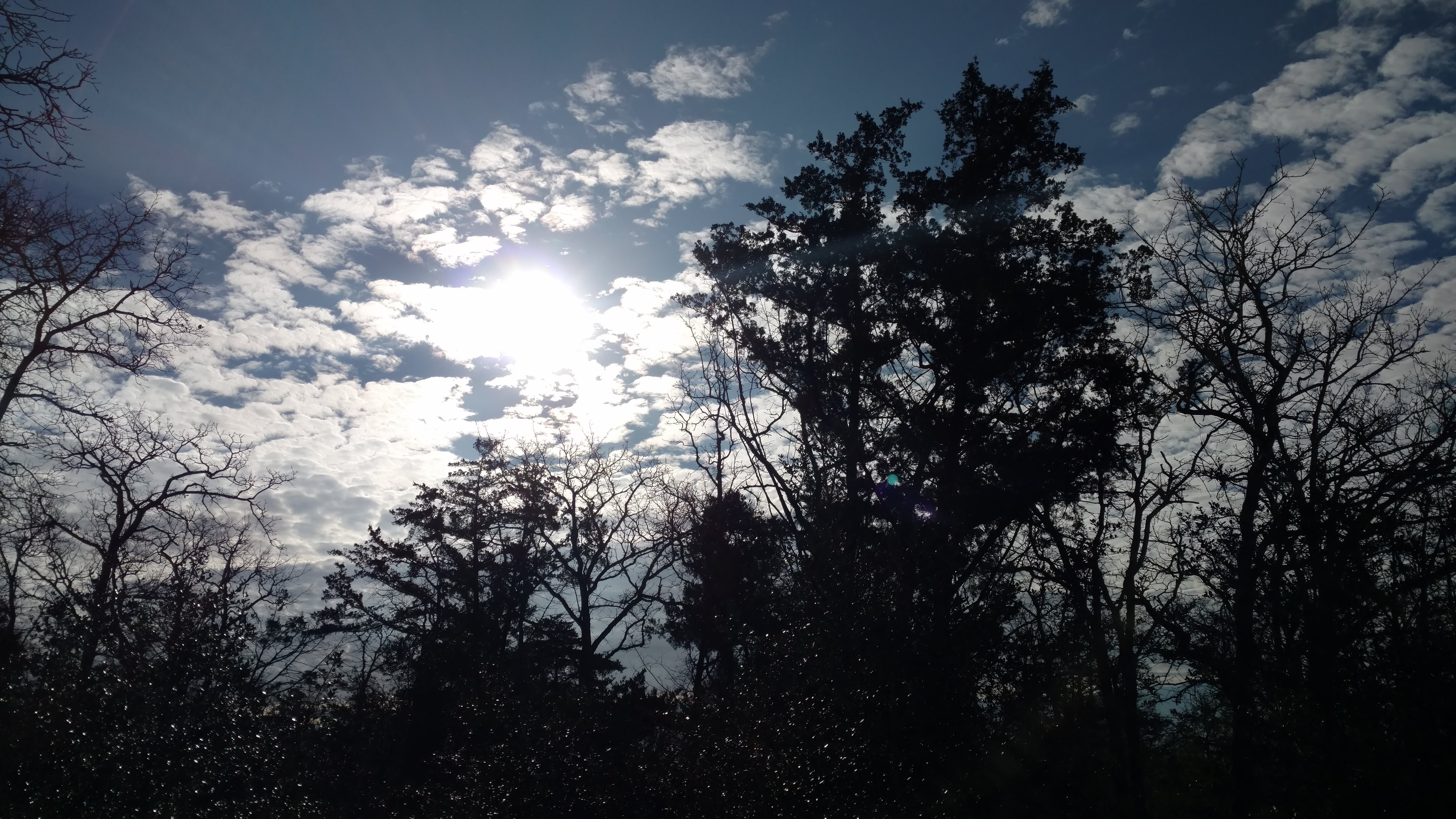 Texas Sky
