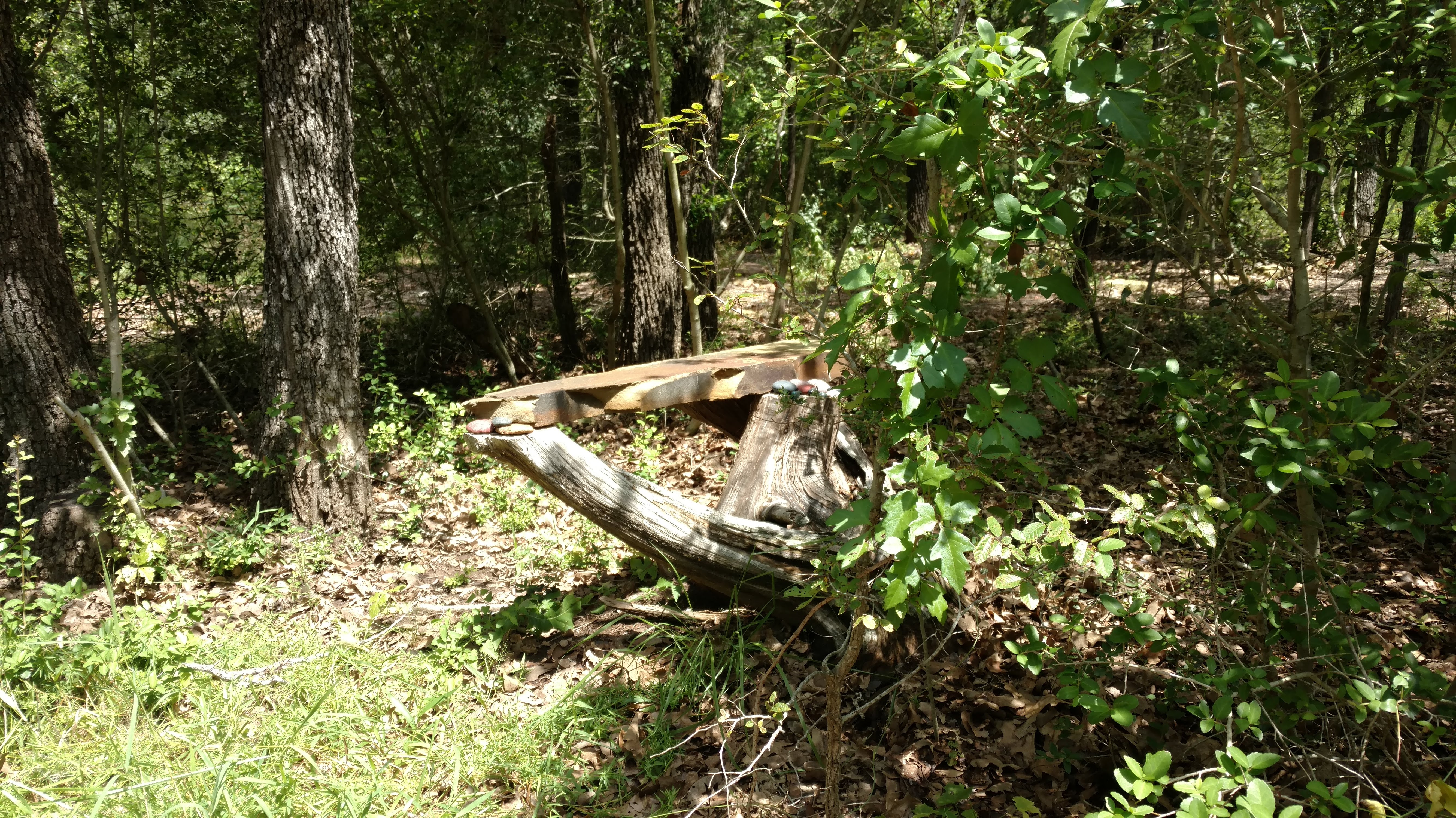 One of the many natural benches available for visitors.