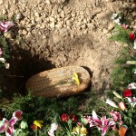 wicker casket burial wicker casket burial